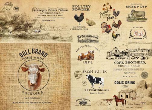 Barnyard animals and typography